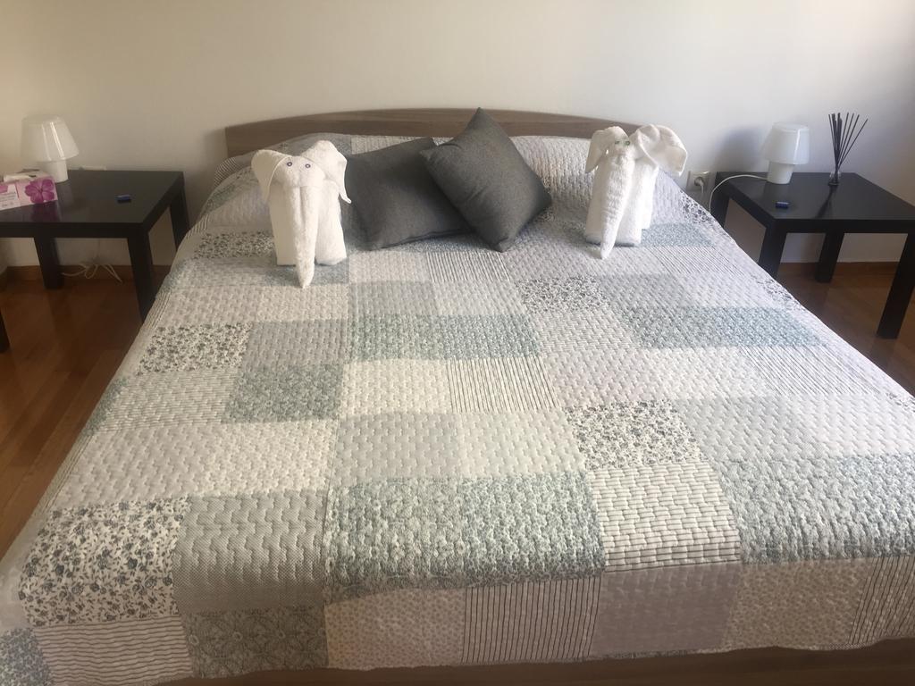 Central 5 Room Apartment Αθήνα Εξωτερικό φωτογραφία