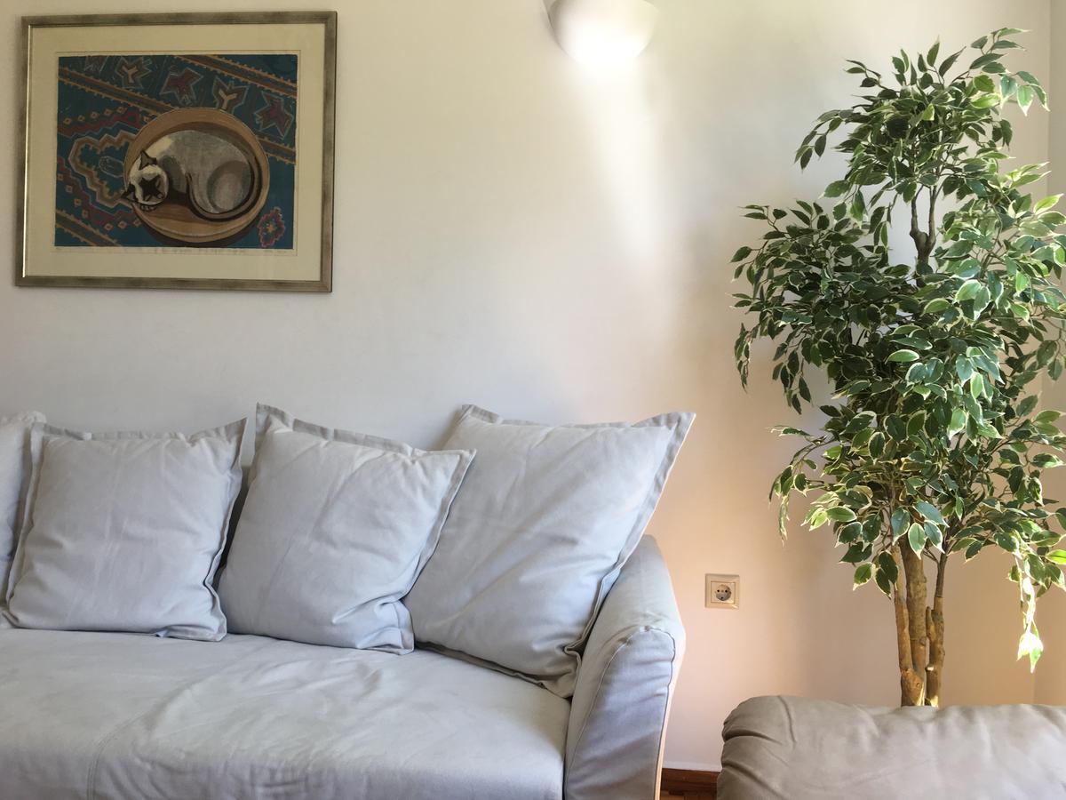 Central 5 Room Apartment Αθήνα Εξωτερικό φωτογραφία